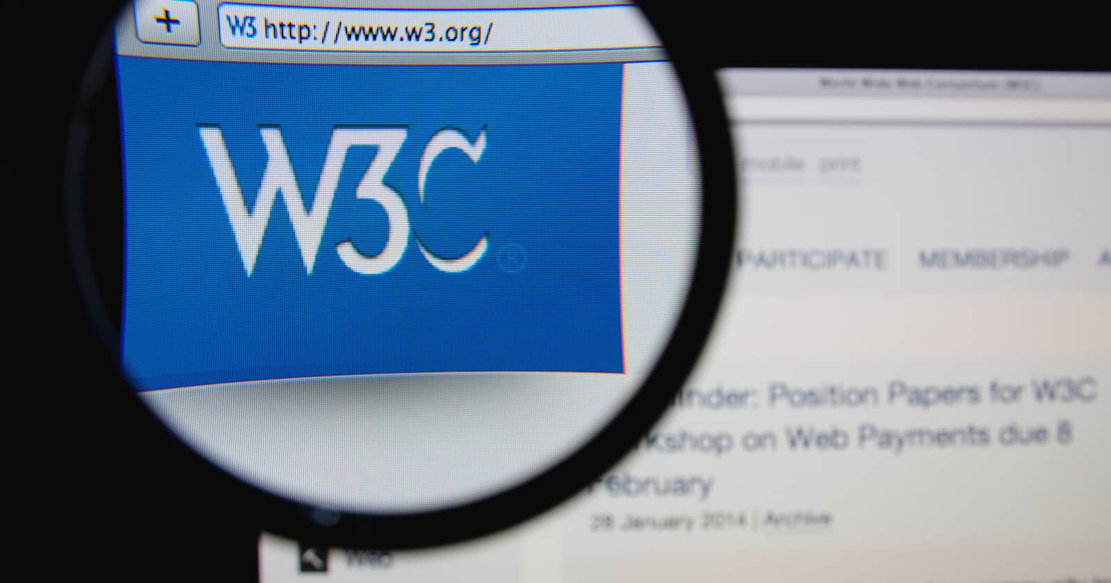 W3C Nedir, Standartları Nelerdir?