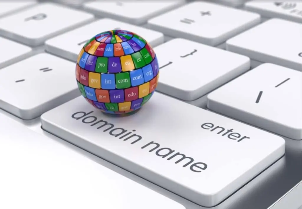 domain whois